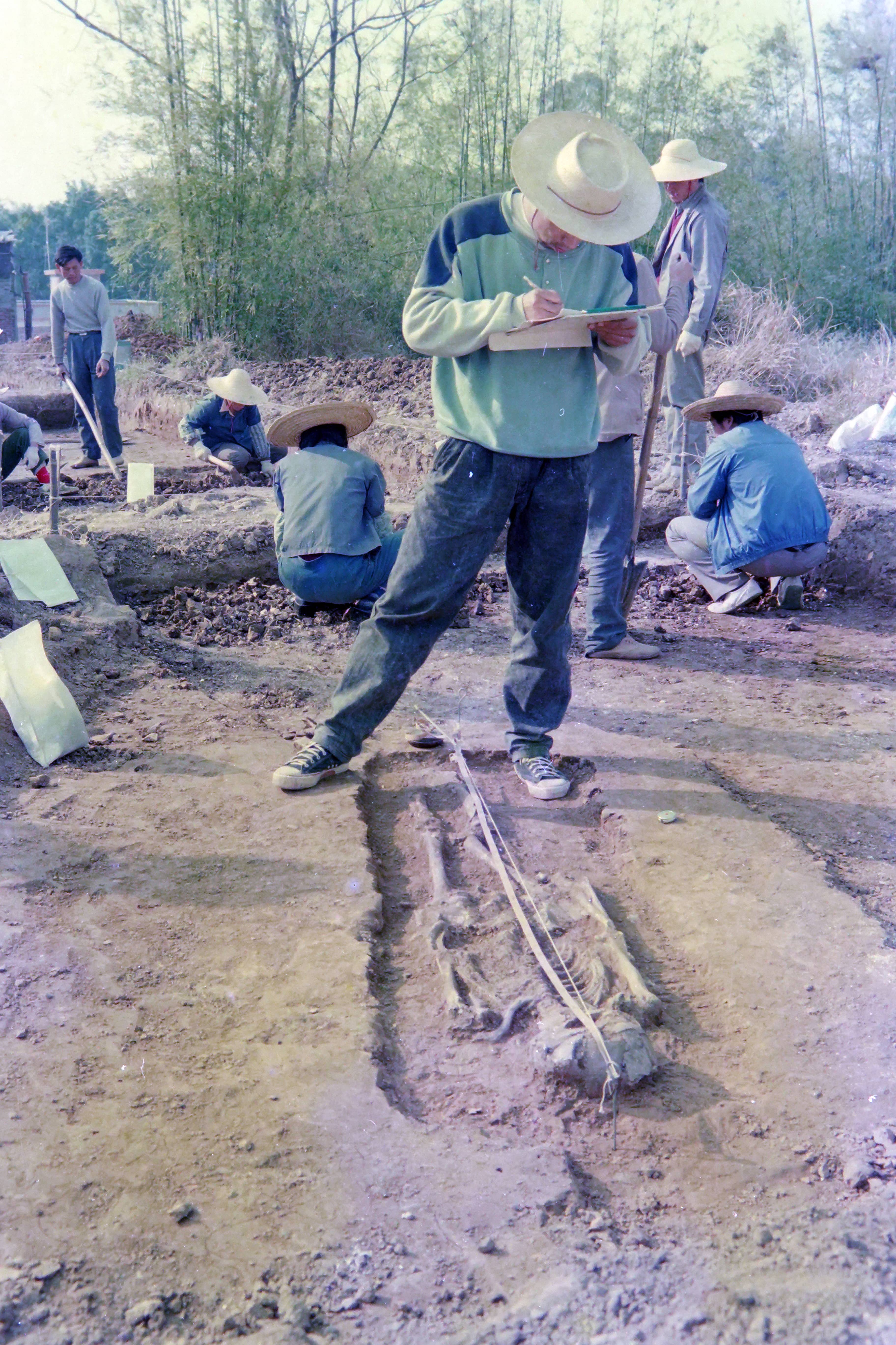 1991年底至1992年1月，经国家文物局批准，广东省文物考古研究所与三水县博物馆组织联合考古队对银洲贝丘遗址进行了试掘。图为广东考古所吴海贵为发掘出土墓葬绘图